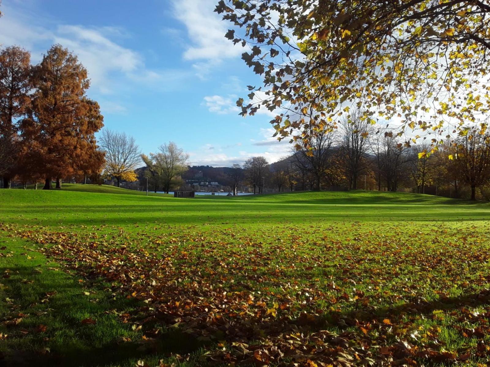 Apartamento Cozy -champel *